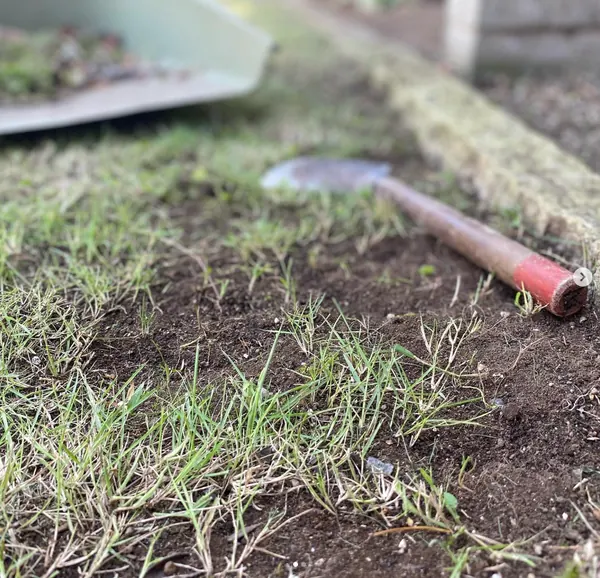草取り・草刈り作業の様子